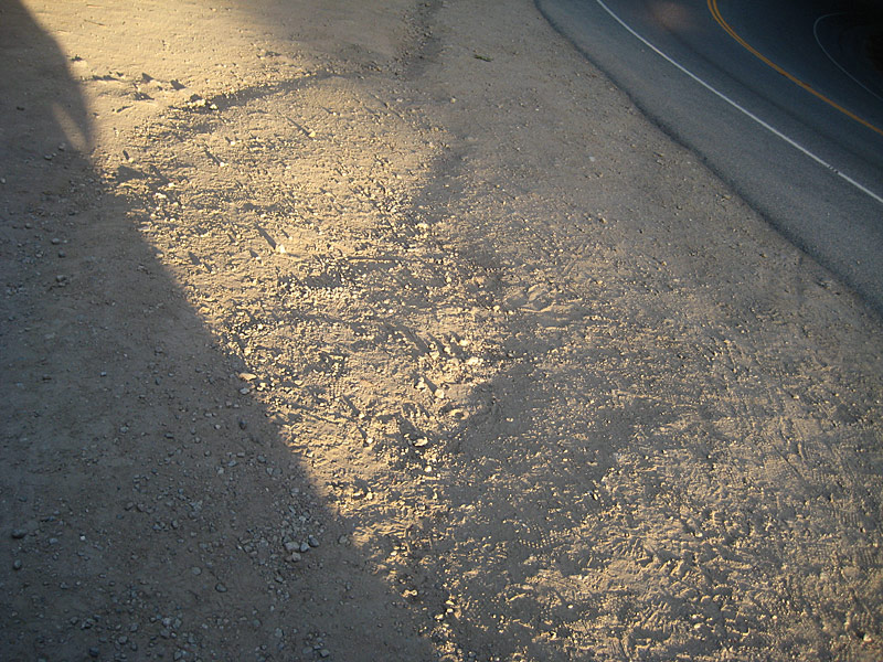 Cluster_05-23-08_BigSur_15