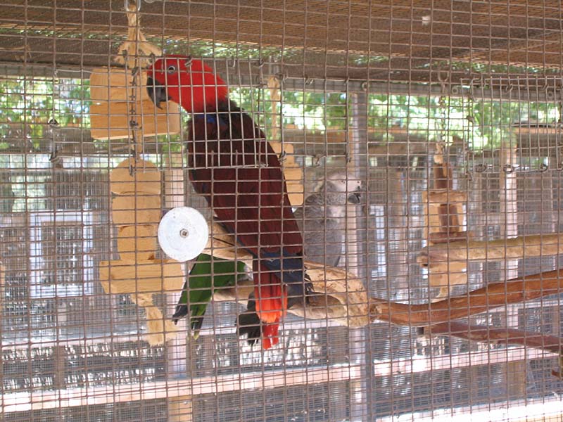 08-17-08_petting-zoo_Severin_09