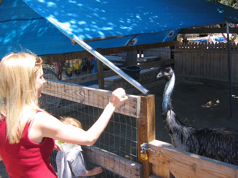 08-17-08_petting-zoo_Severin_31
