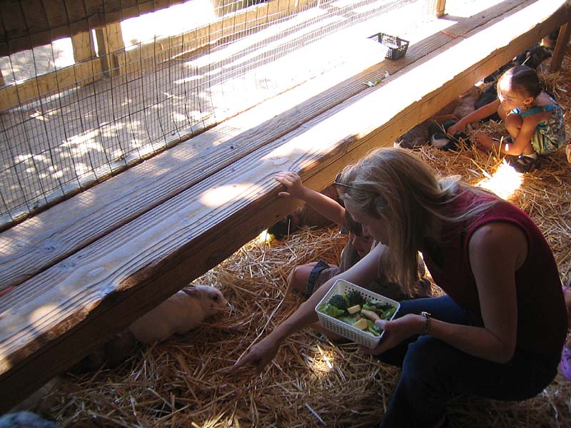 08-17-08_petting-zoo_Severin_43