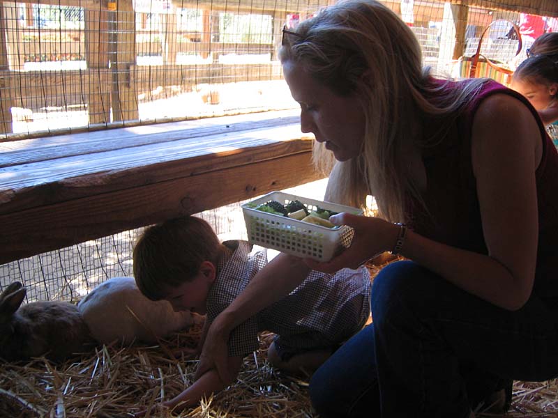 08-17-08_petting-zoo_Severin_44