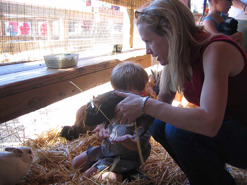 08-17-08_petting-zoo_Severin_46