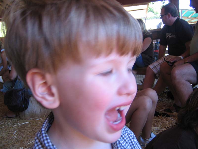 08-17-08_petting-zoo_Severin_74