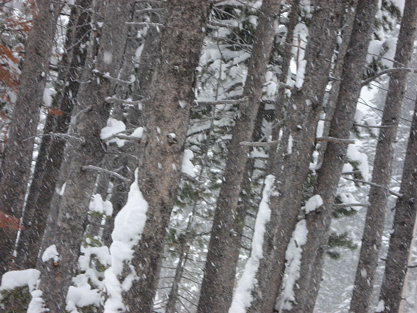 Tahoe-Donner_Feb-07_041