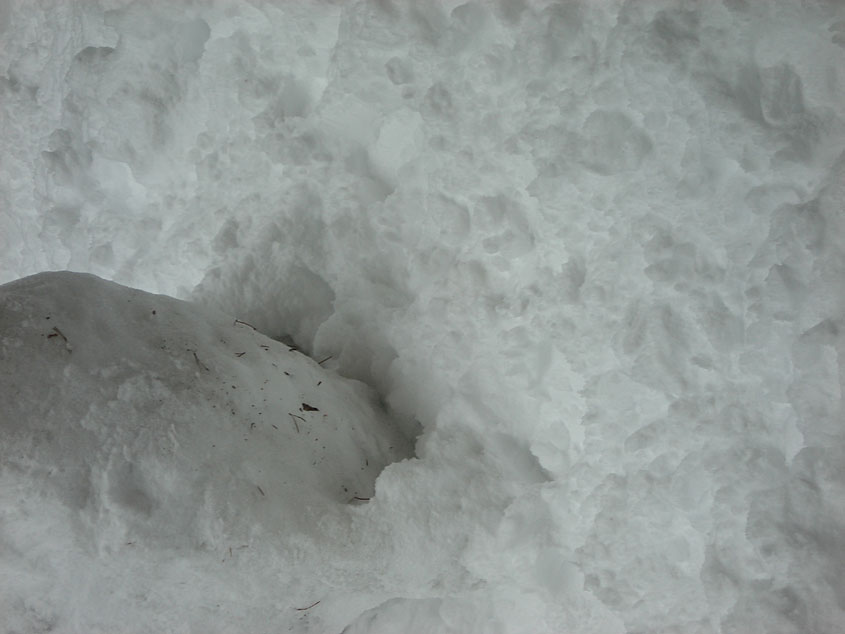 Tahoe-Donner_Feb-07_108