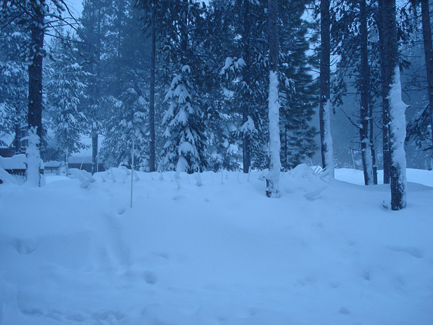 Tahoe-Donner_Feb-07_196