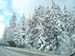 Tahoe-Donner_Feb-07_006