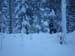 Tahoe-Donner_Feb-07_195