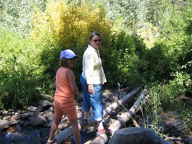 Truckee_42