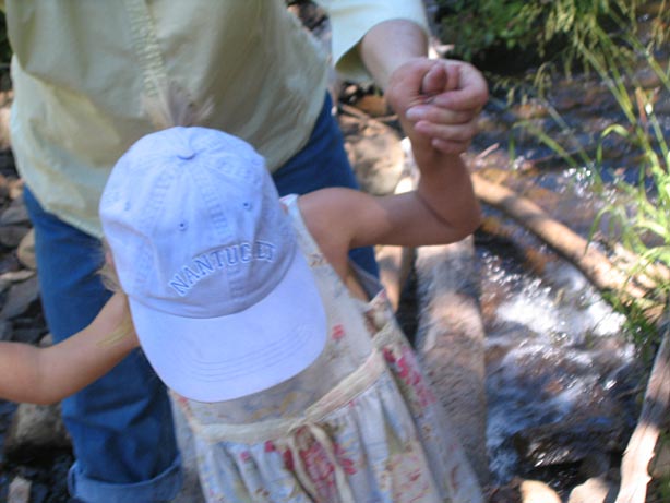 Truckee_57